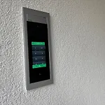 Nest *